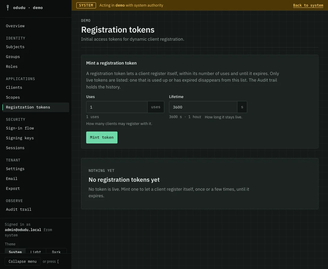 The Registration tokens page with the Mint a registration token form, its Uses and Lifetime fields and a Mint token button, above an empty list.