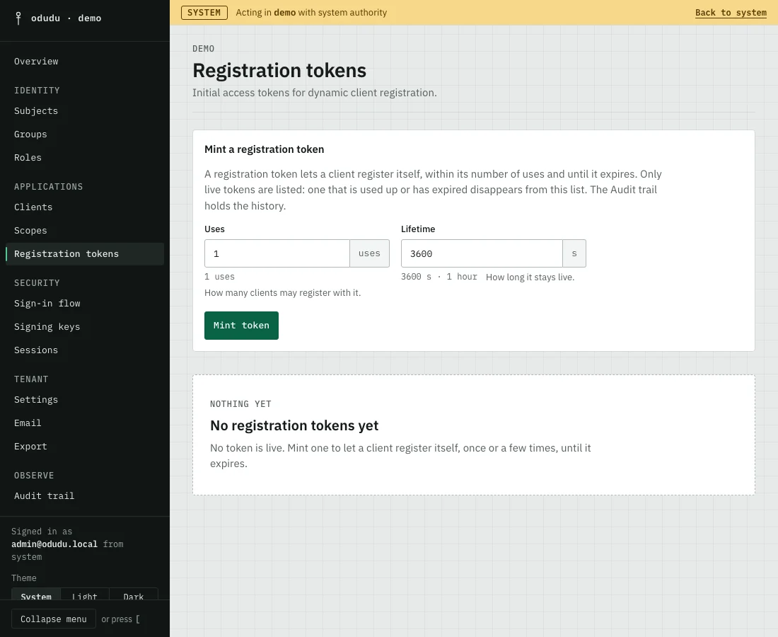 The Registration tokens page with the Mint a registration token form, its Uses and Lifetime fields and a Mint token button, above an empty list.